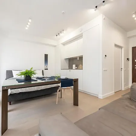 Apartmán Luxury In Zverynas Vytauto Street 35 Vilnius