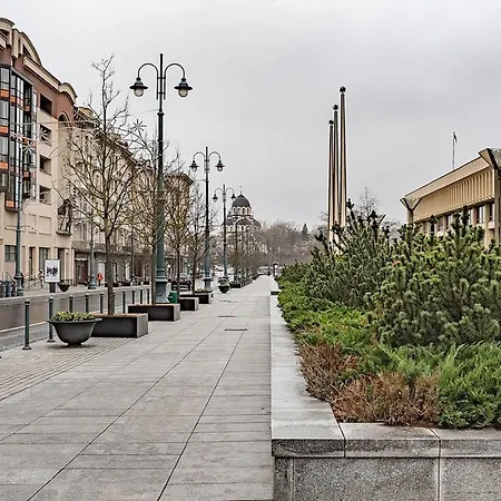 Luxury In Zverynas Vytauto Street 35